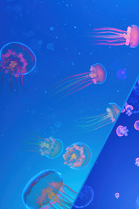 Jellyfish Abstract 4k (720x1280) Resolution Wallpaper