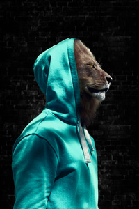 King Of Jungle In Hoodie (1280x2120) Resolution Wallpaper