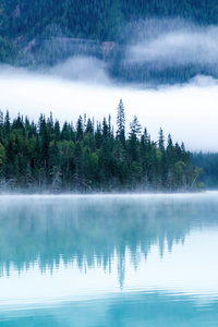 Lake Water Trees 5k (1440x2560) Resolution Wallpaper