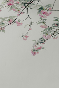 Pink Flowers On Tree Branch (1080x2160) Resolution Wallpaper