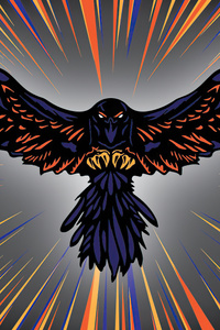 Raven Coin Logo (360x640) Resolution Wallpaper