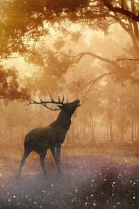 Reindeer Dreamy World (2160x3840) Resolution Wallpaper