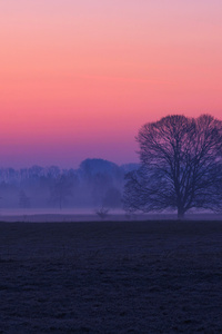 Sunrise Sanctuary 5k (1440x2560) Resolution Wallpaper