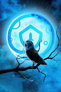 Safemoon (360x640) Resolution Wallpaper