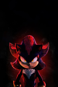 The Dark Hedgehog (2160x3840) Resolution Wallpaper