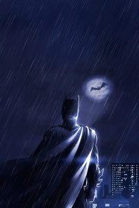 The Dark Knight Rises Again (1080x2280) Resolution Wallpaper