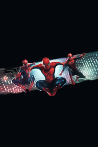 The Spider Verse Team Up (480x800) Resolution Wallpaper