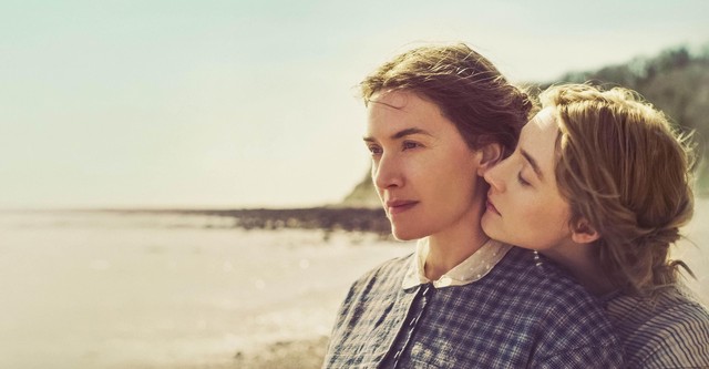 Ammonite - Sopra un'onda del mare