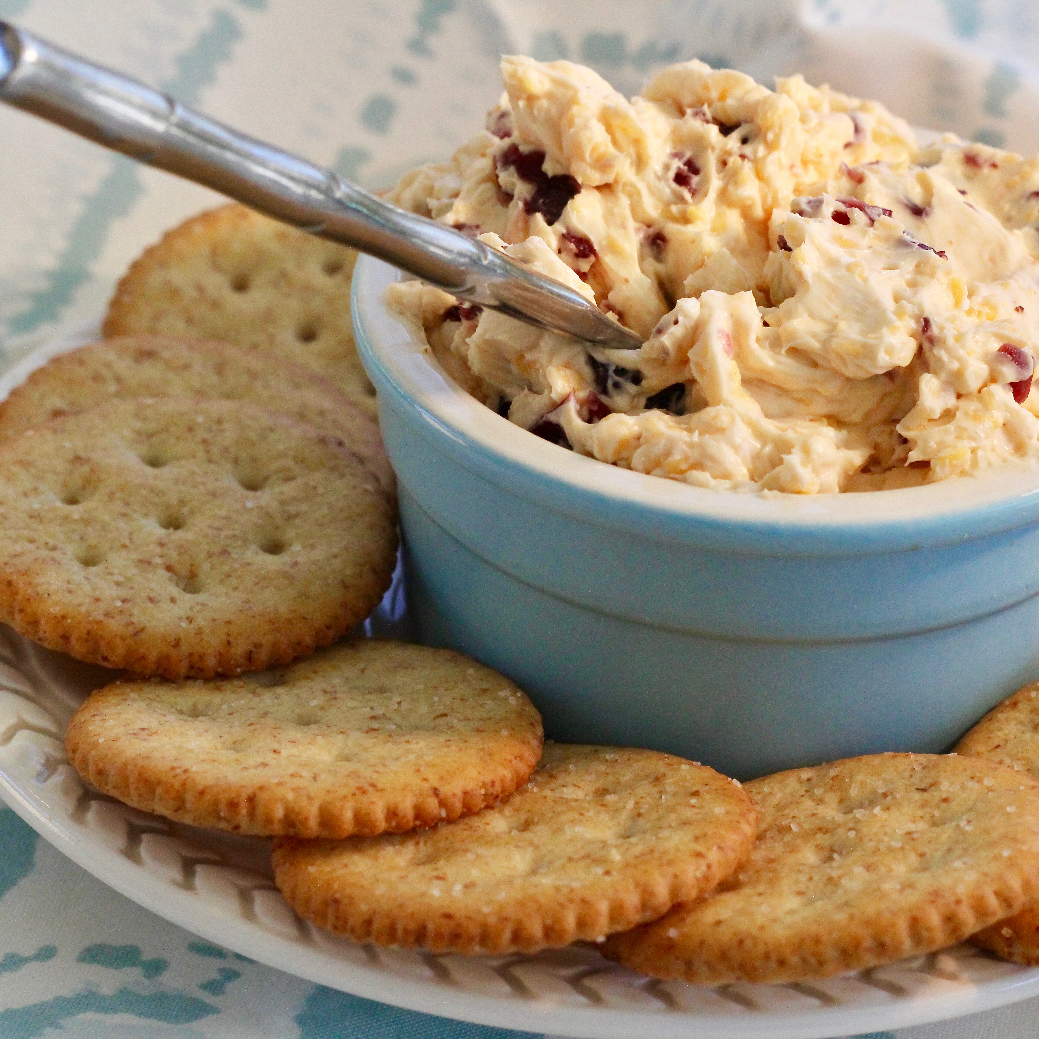 Zippy Cranberry Cheddar Spread_image