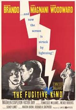 The Fugitive Kind (1960)