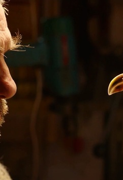 The Taxidermist (2019)