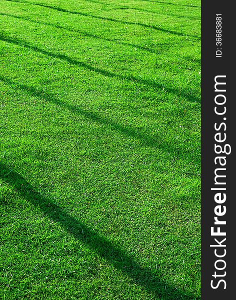 Grass Ground Background - Free Stock Images & Photos - 36683881 |  