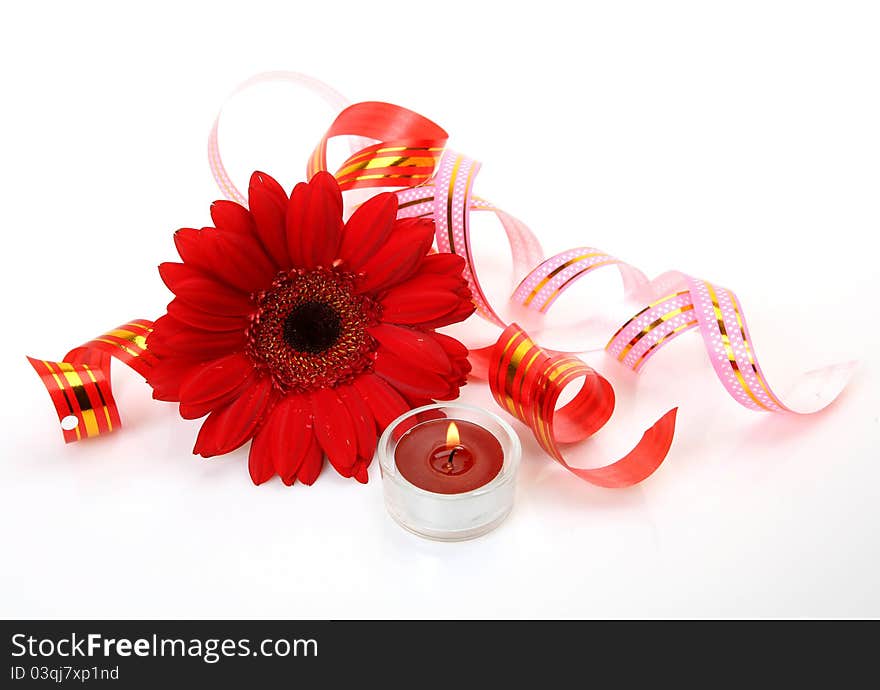 Fine flowers and candles on a white background