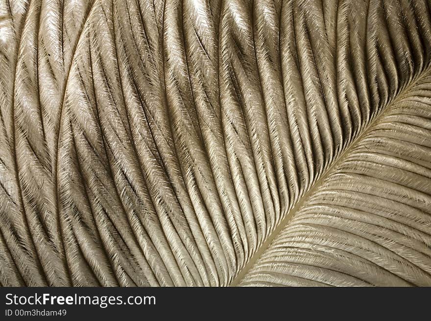 Macro of a delicate, soft white feather, with a white background