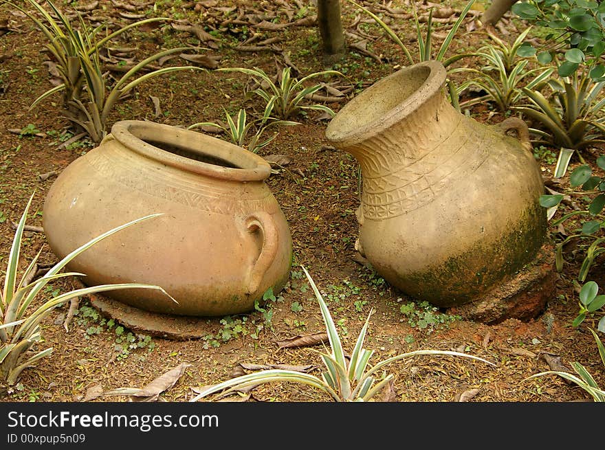 Two rotundity yellow gallipot on the ground. Two rotundity yellow gallipot on the ground.