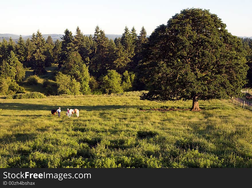 Two people in a field of grass and trees talking while holding onto their horses. - horizontally framed. Two people in a field of grass and trees talking while holding onto their horses. - horizontally framed