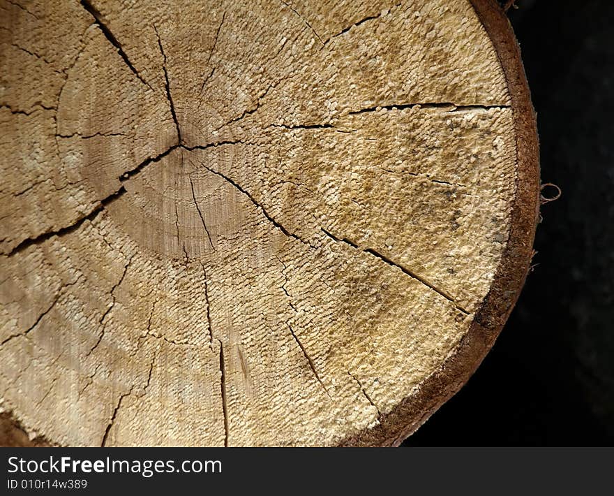 Cut log, background of wooden cut texture. Cut log, background of wooden cut texture