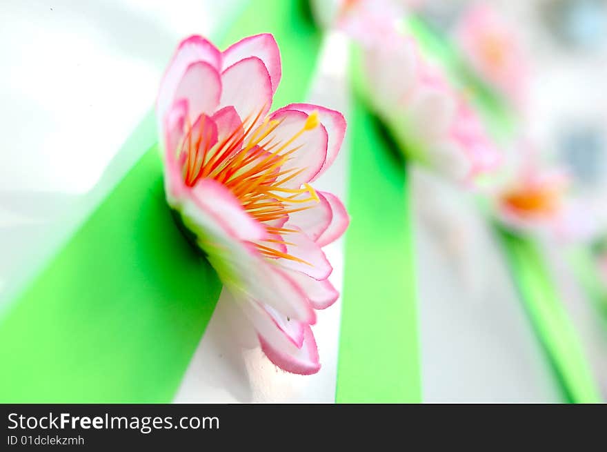 Wedding decoration (flower) on white limousine car. Wedding decoration (flower) on white limousine car.