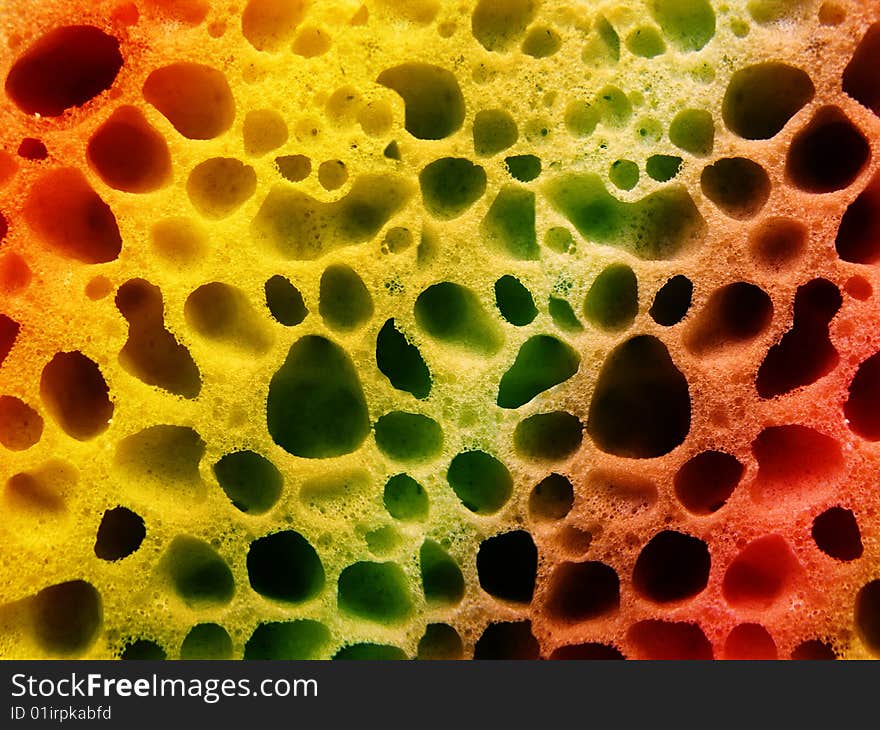 Relief structure of a surface of a sponge from polymer. Relief structure of a surface of a sponge from polymer