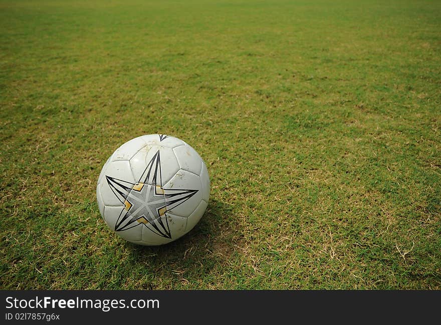 Foot ball in green garden. Foot ball in green garden