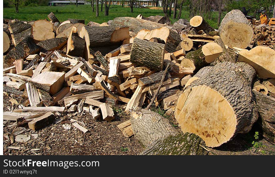 Freshly cut Firewood.Cut Logs, with sawdust on the ground