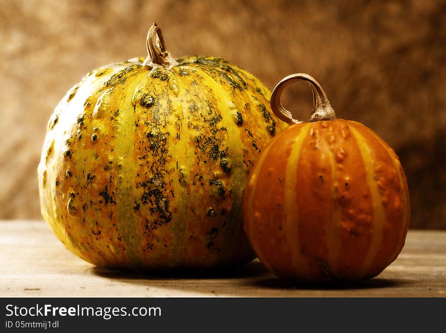 Pumpkin still life