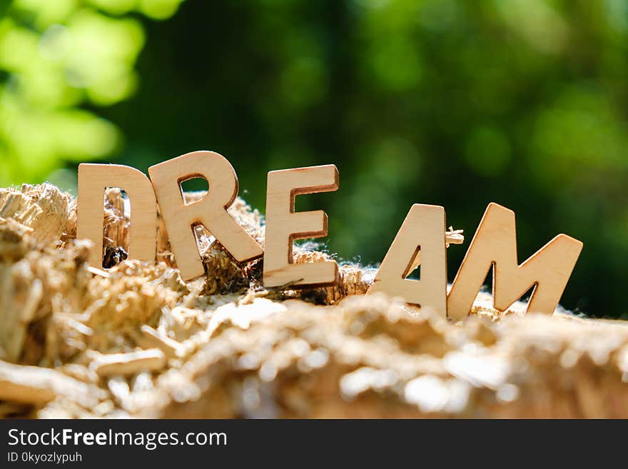 Wooden letters spelling out the word dream on nature background. Inspirational and motivational concept. Wooden letters spelling out the word dream on nature background. Inspirational and motivational concept.