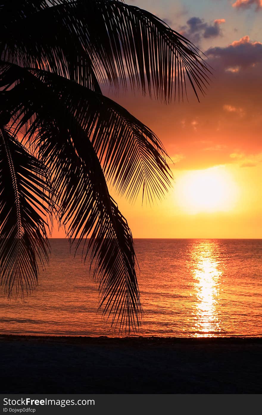 Beautiful sunset on the beach, sun goes down to the sea, woman silhouette on the bayshore. Calm ambient, rest and relaxation concept. Stunning view to the horizon. Outdoors, copy space