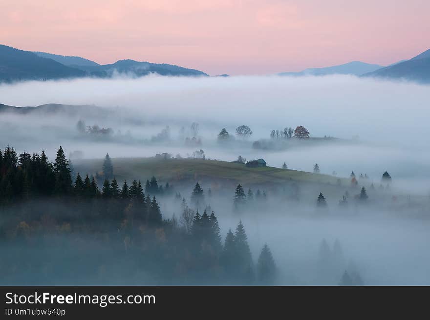 Scenery of the sunrise at the high mountains. Dense fog with beautiful light. A place to relax in the Carpathian Park.