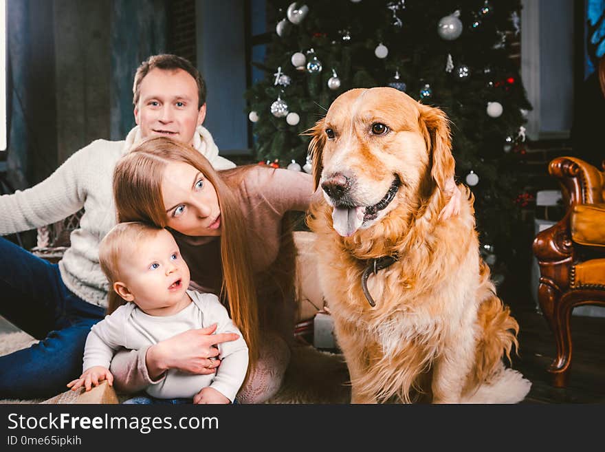 Theme Christmas and New Year family circle and domestic pet. Mom dad and child 1 year old Caucasian women sitting on floor near Christmas tree with gifts and big dog breed labrador golden retriever. Theme Christmas and New Year family circle and domestic pet. Mom dad and child 1 year old Caucasian women sitting on floor near Christmas tree with gifts and big dog breed labrador golden retriever.