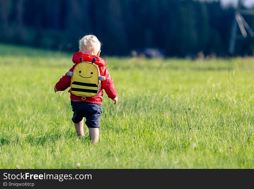 Baby boy hiking with backpack on green meadow. Young child on vacations hike. Inspirational travel and tourism concept