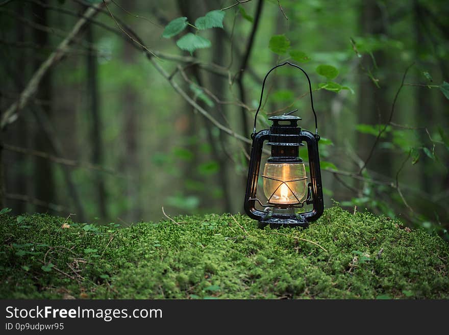 Oil lamp on the ground in nature. Beautiful forest on background. Copy space