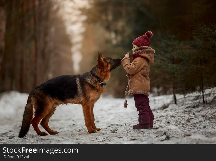 Little girl with German shepherd 6-th months puppy at early spring forest