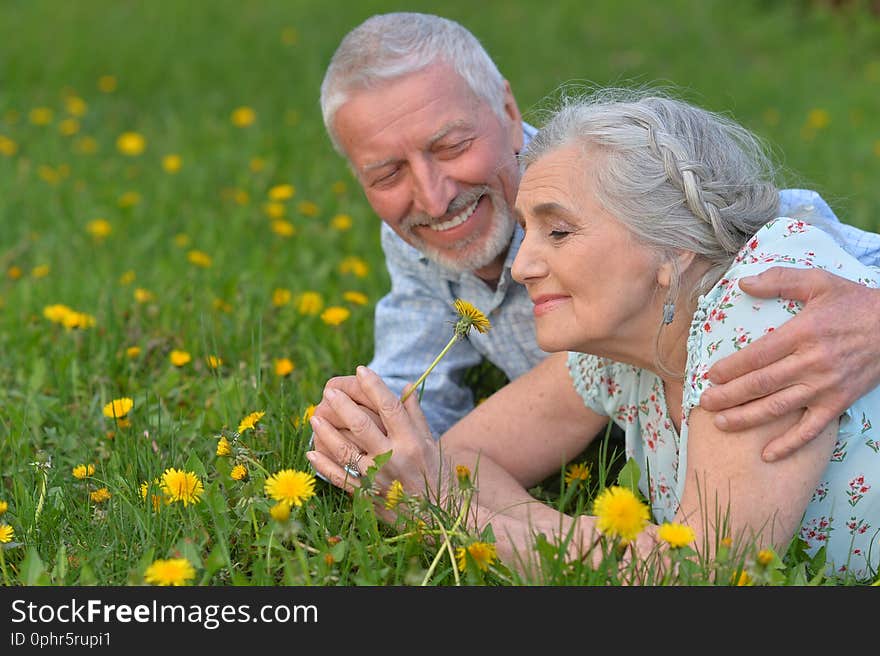 Happy senior couple lying on green meadow