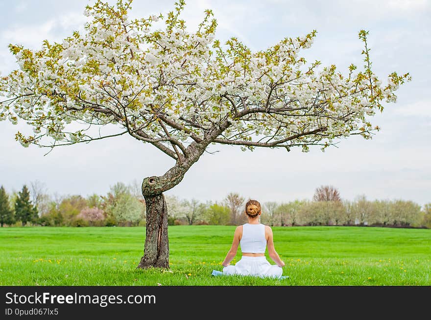 Beautiful young woman is practicing yoga or meditating sitting in Lotus pose near blossom tree at the park. Meditation Padmasana pose. Beautiful young woman is practicing yoga or meditating sitting in Lotus pose near blossom tree at the park. Meditation Padmasana pose