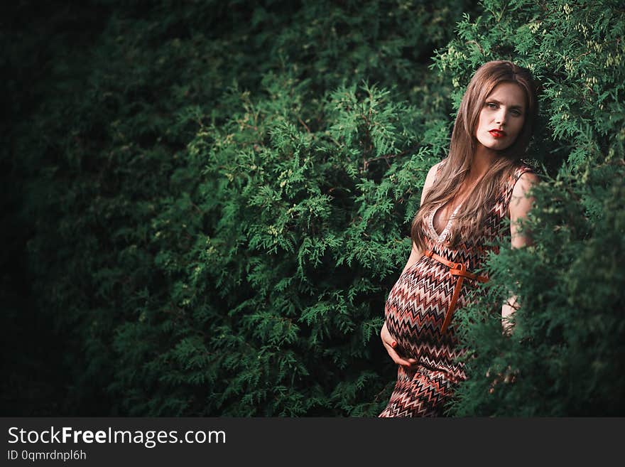 Young pregnant woman in the park outdoors. Calm pregnant woman in third trimester. Walking in public garden. Trees in