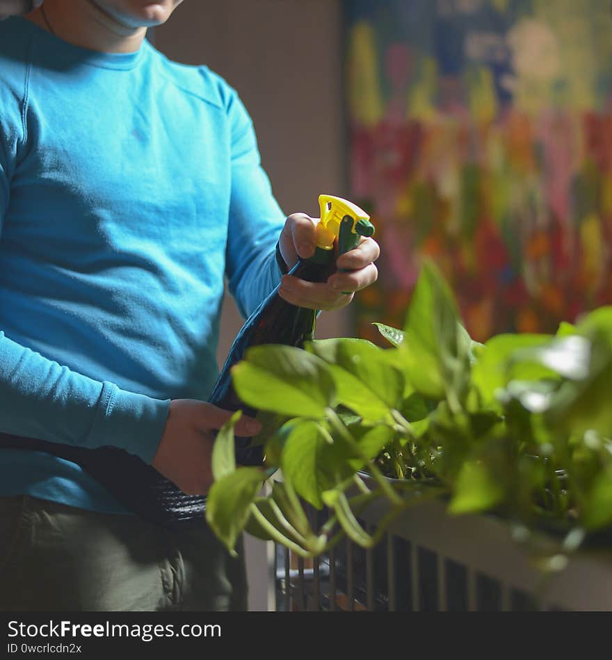 Man in blue uniform watering flowers in restaurant. Waiter at work. Work routine. Lifestyle. Fresh greenery.