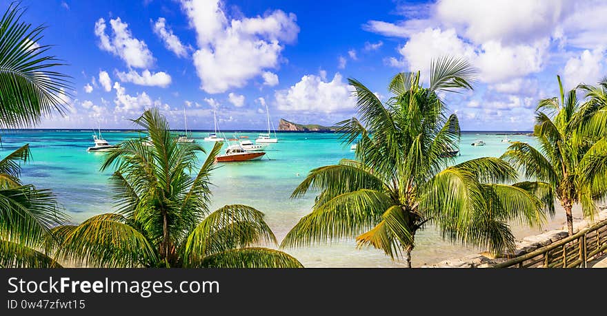 Turquoise sea,palm trees and traditional boats in Cap Malheureux,Mauritius island. Turquoise sea,palm trees and traditional boats in Cap Malheureux,Mauritius island.