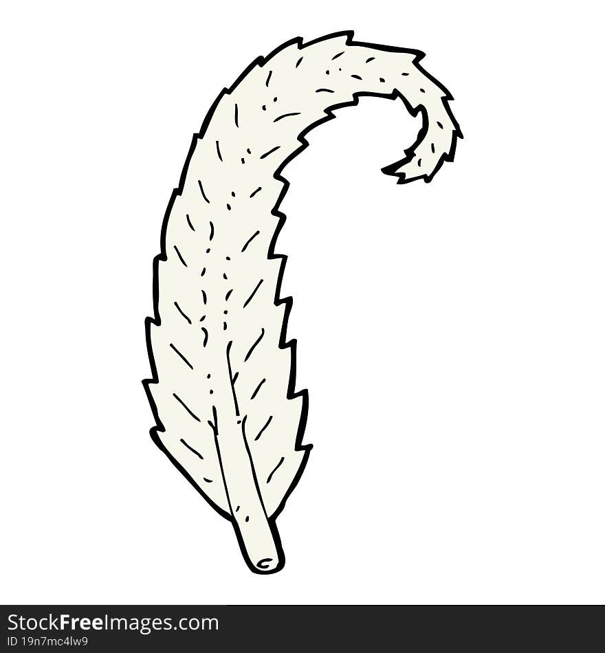 cartoon feather