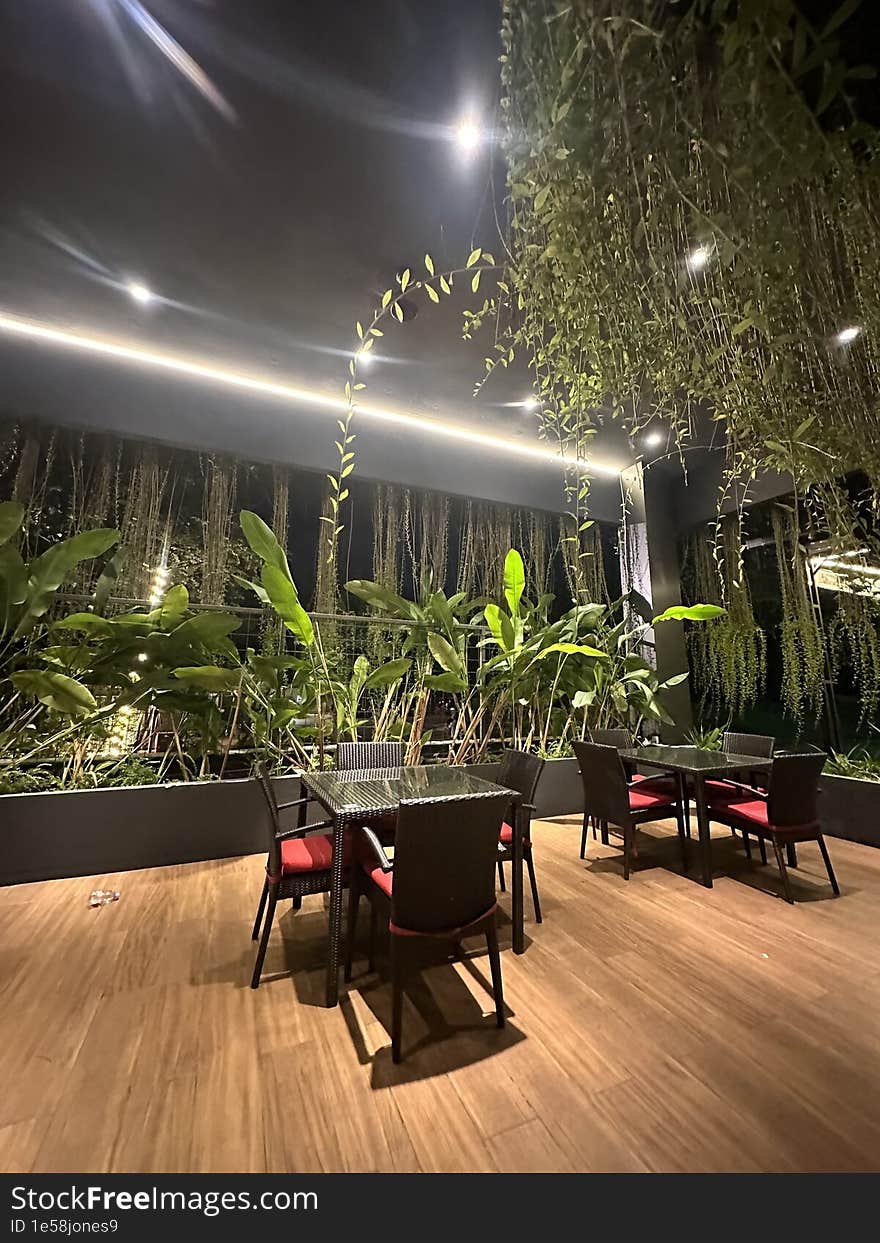 A minimalist room in a restaurant. It only contains a few chairs and tables, with decorative indoor plants placed nearby, serving as room adornments and adding to the natural ambiance. A minimalist room in a restaurant. It only contains a few chairs and tables, with decorative indoor plants placed nearby, serving as room adornments and adding to the natural ambiance.