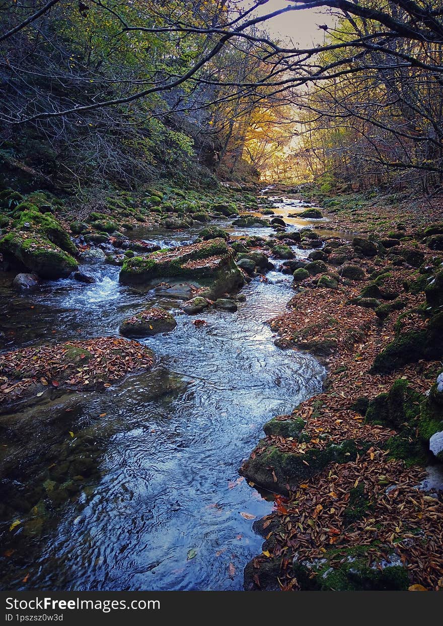 Landscape river. River Cvrcka, Bosnia and Herzegovina. Stream landscape. Landscape mountain river. Morning in the wilderness. Autumn landscape.