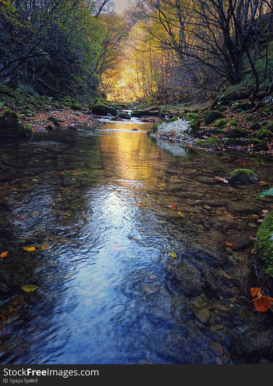 Landscape river. River Cvrcka, Bosnia and Herzegovina. Autumn landscape. Morning in the forest. Morning in the wilderness. Landscape mountain river. Stream landscape.