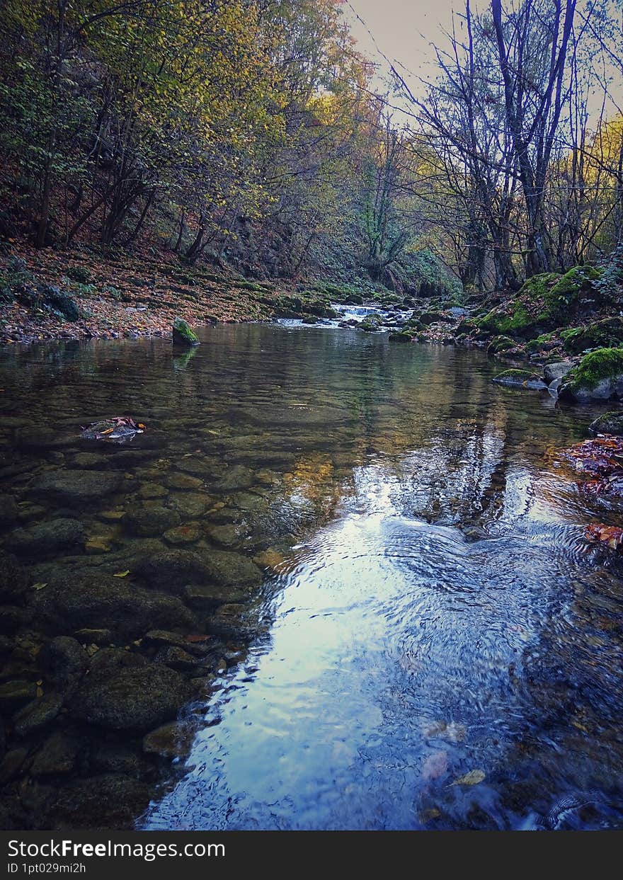 Background river. River Cvrcka, Bosnia and Herzegovina. Landscape mountain river. Stream landscape.