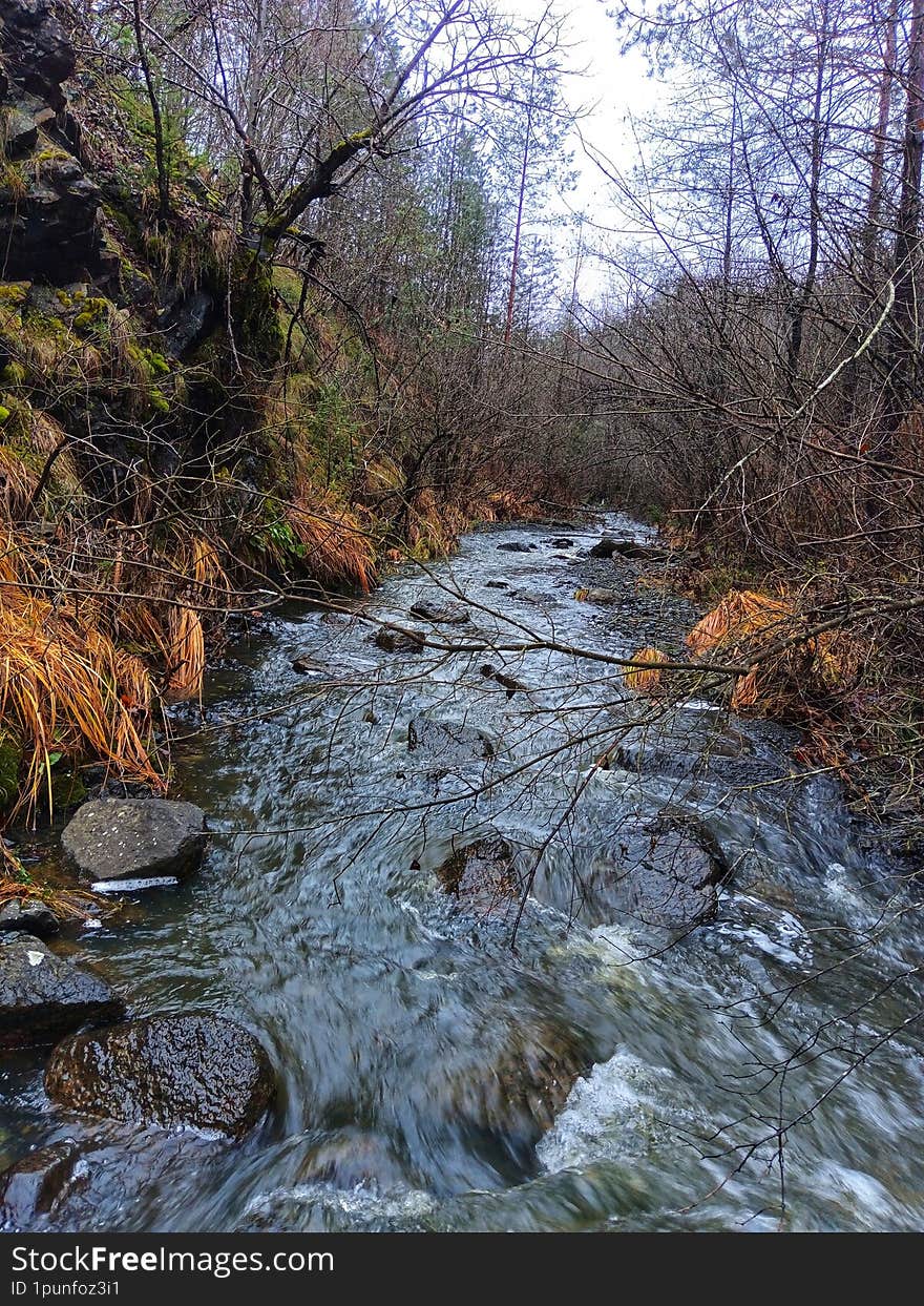 River landscape. Stream landscape. River Krusevica, Bosnia and Herzegovina. Morning in the wilderness. Nature landscape.