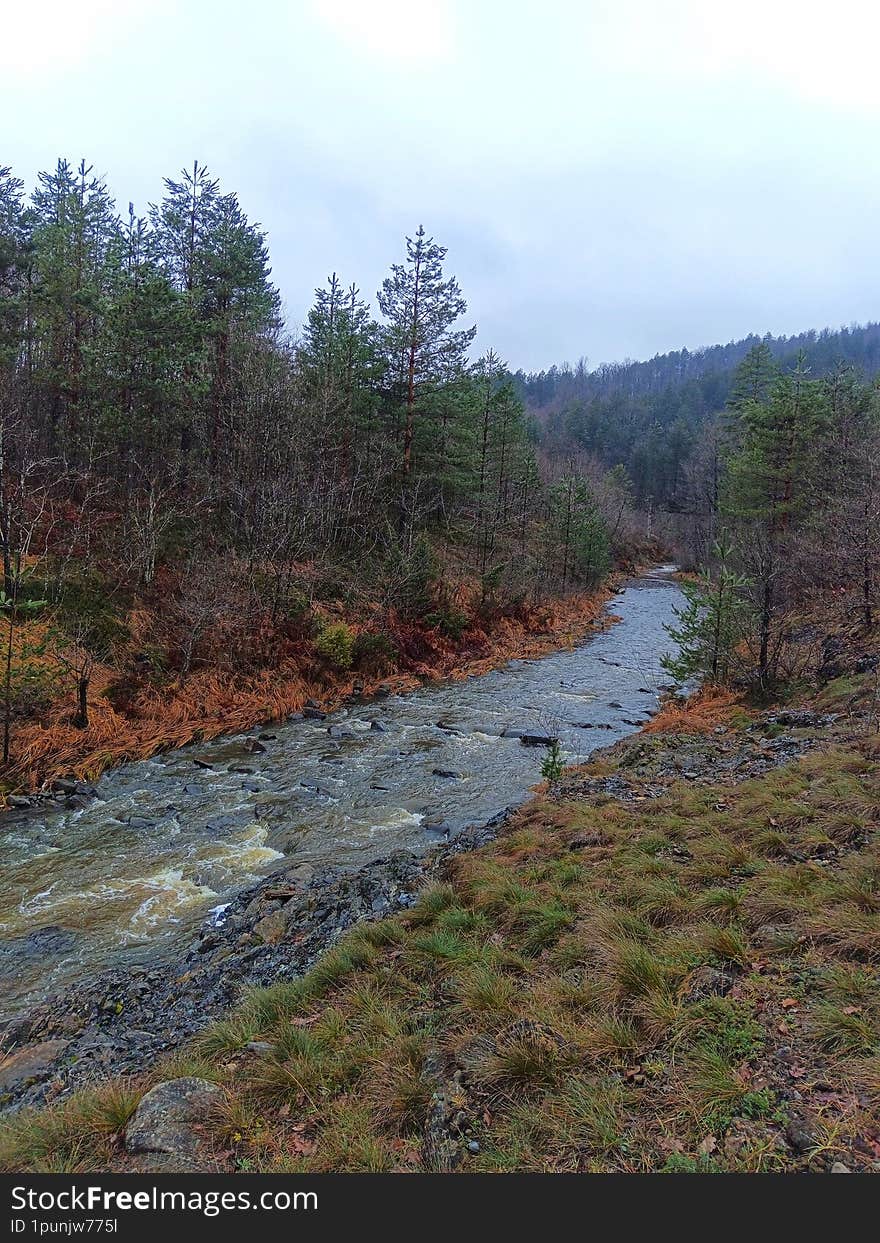 Landscape river. Landscape stream. River Ukrina, Bosnia and Herzegovina. River in the wilderness. Forest river. Mountain river.