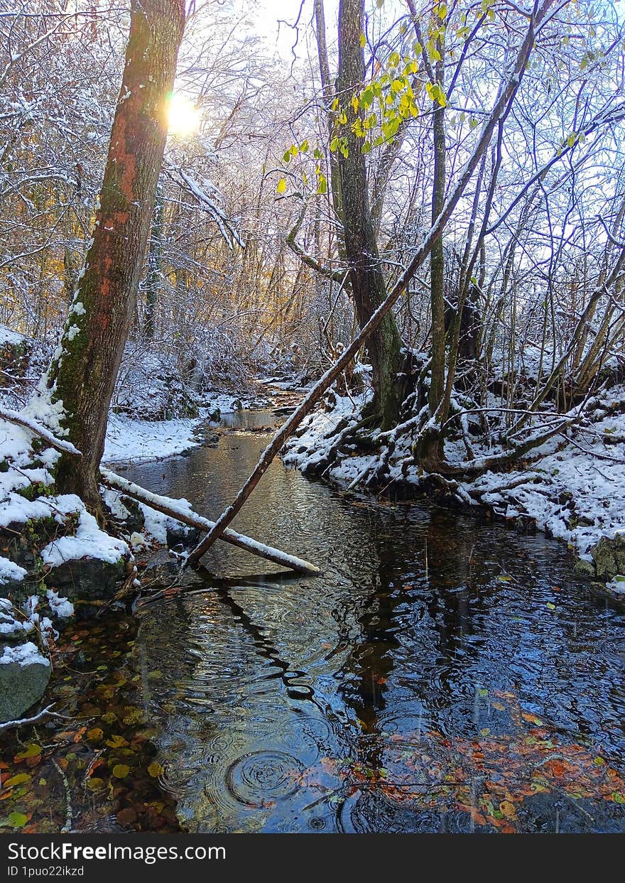 Winter landscape river. River Krusevica, Bosnia and Herzegovina. Winter idyll. Landscape stream. Morning in the wilderness. Sunrayt nature. Sunrise in the morning.