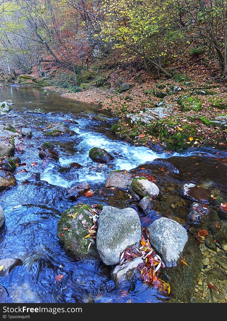 Autumn landscape river. Landscape river. Landscape stream. River Cvrcka. Beautiful nature. Mountain river and forest. Waterfall river. Wilderness landscape.