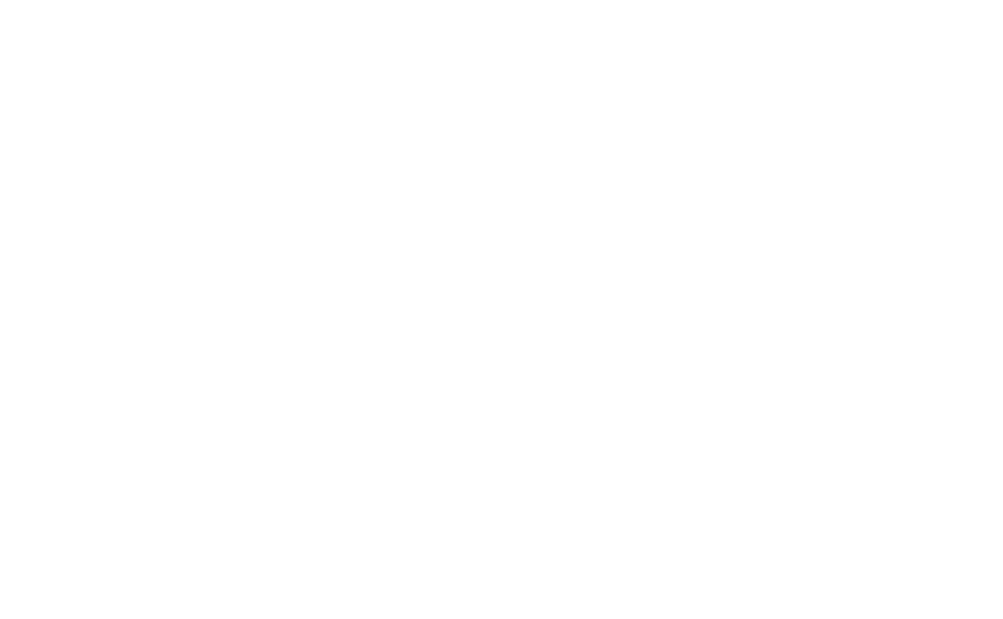 Admiral Insurance logo