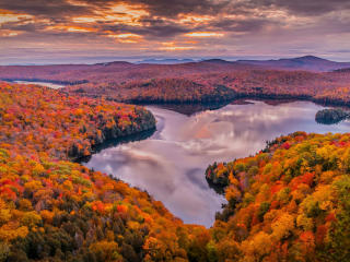 River in Colorful Forest wallpaper