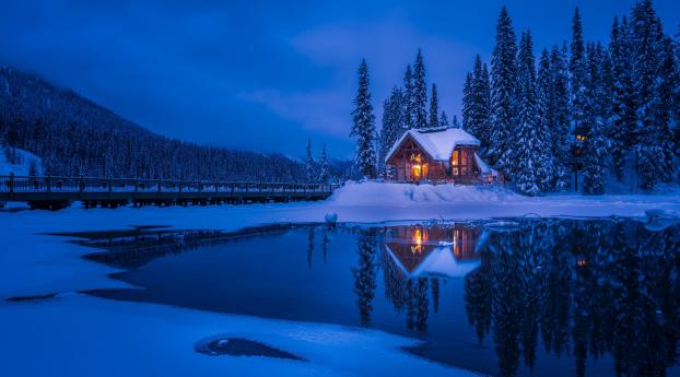 Forest House Covered in Snow 4K Wallpaper 2560x1080 Resolution